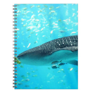 Marine Water Chic Stilvoll Cooler Blauwal-Hai Notizblock