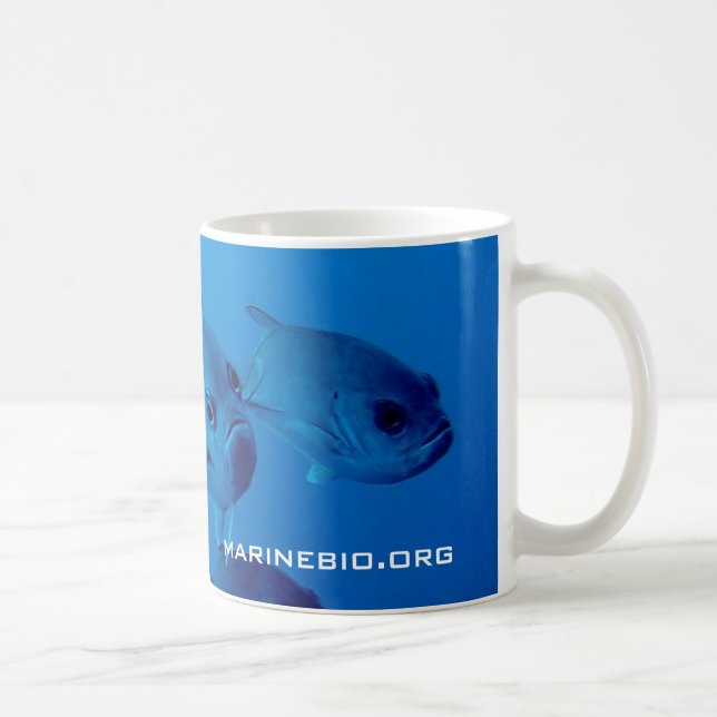 MarineBio Kaffee-Tasse Tasse (Rechts)