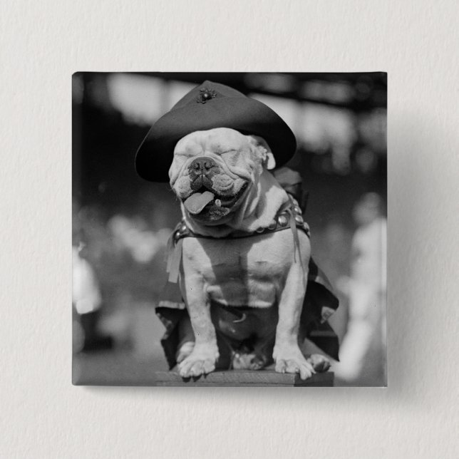 Marineinfanteriekorps Maskottchen, Zwanzigerjahre Button (Vorderseite)