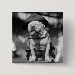 Marineinfanteriekorps Maskottchen, Zwanzigerjahre Button