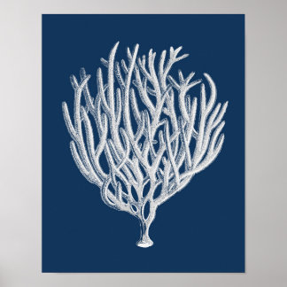 Marinekoralle #1 Stranddekoration Kunst Poster