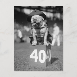 Marinekorps Mascot, 1920er Postkarte