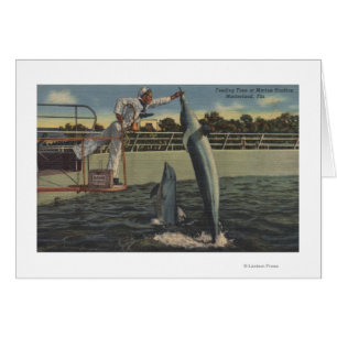 Marineland, Florida - Ansicht des Fütterns der