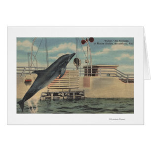 Marineland, Florida - Ansicht von Pudgy