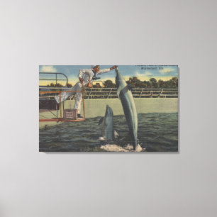 Marineland, Florida - Aussicht auf Fütternd Schwei Leinwanddruck