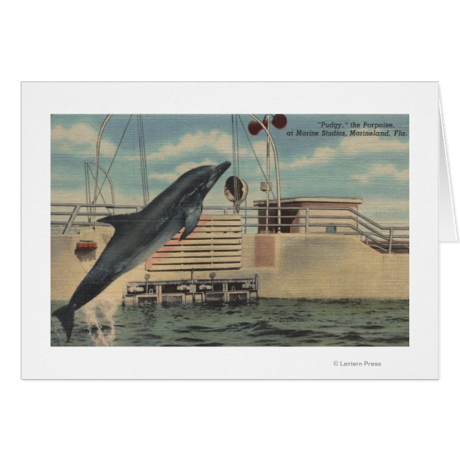 Marineland, Florida - Blick auf Pudgy, die (Vorderseite (Horizontal))