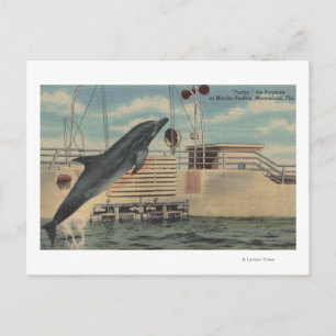 Marineland, Florida - Blick auf Pudgy, die Postkarte