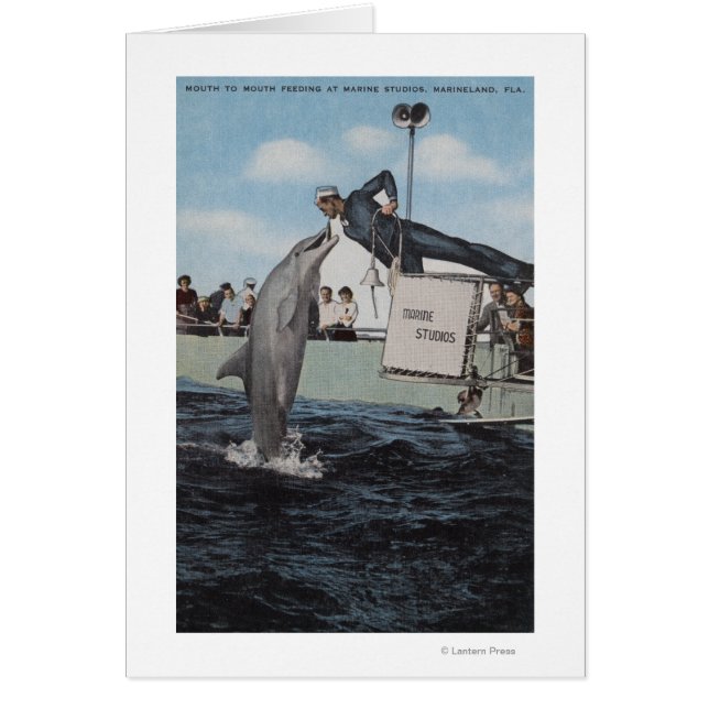 Marineland, Florida - Sailor Mouthfeed (Vorne)
