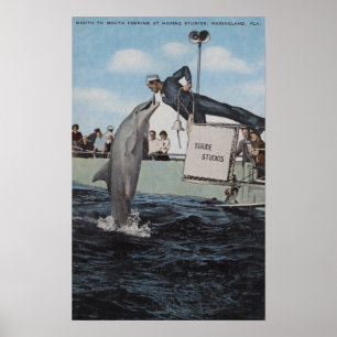 Marineland, Florida - Sailor Mouthfeed Poster