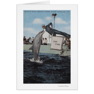 Marineland, Florida - Seemann Mouthfeeding