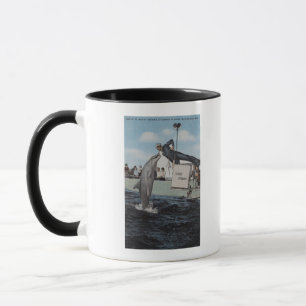 Marineland, Florida - Seemann Mouthfeeding Tasse