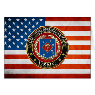MarineSpezialoperation-Regiment (MSOR) [3D]
