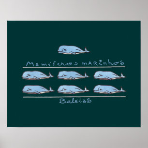 Marinhos mamíferos marinhos - baleias poster