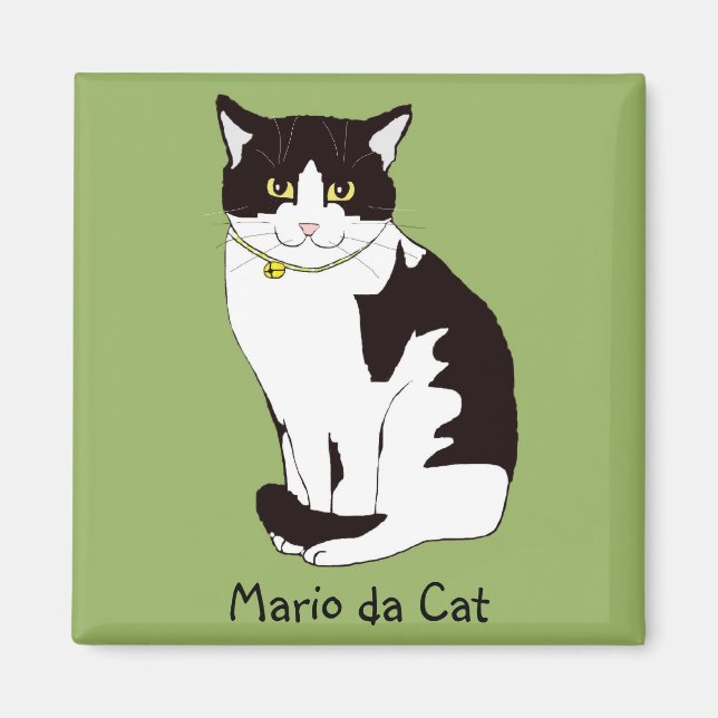 Mario da Cat Magnet (Vorne)