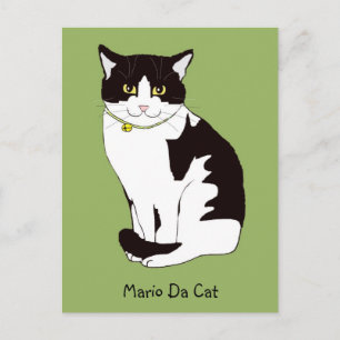 Mario Da Cat Postcard Postkarte