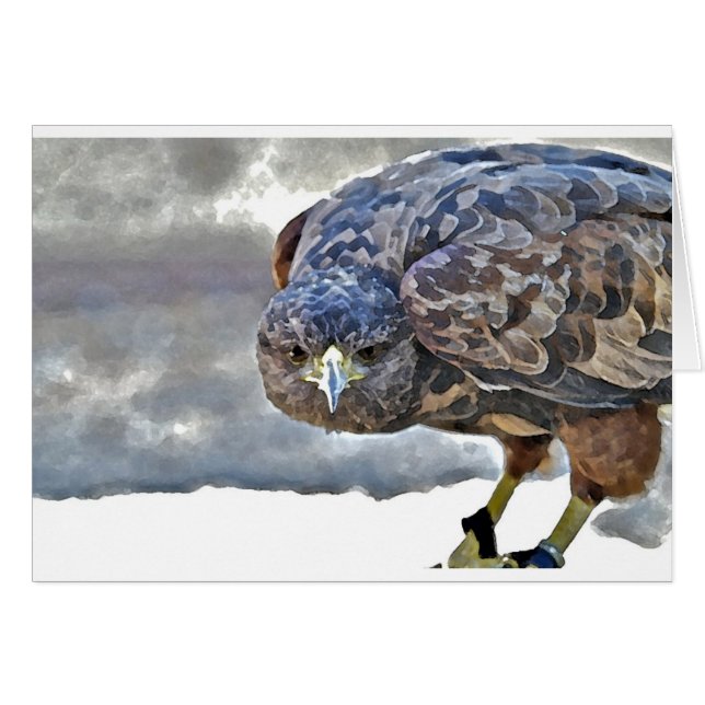 Mariposa (Vorderseite (Horizontal))