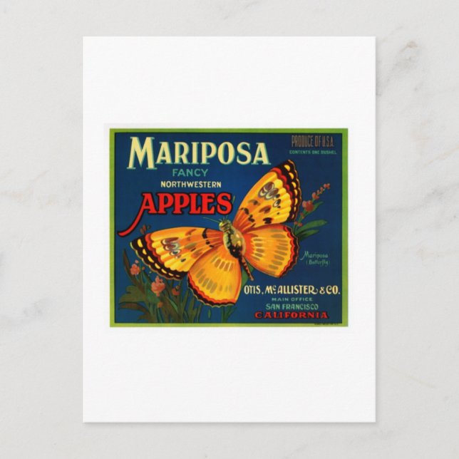 Mariposa Äpfel Postkarte (Vorderseite)