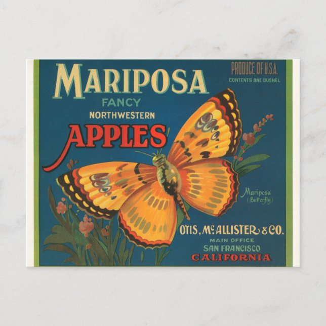 Mariposa-Äpfel Postkarte (Vorderseite)