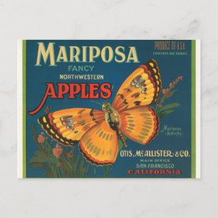 Mariposa Apples Postkarte