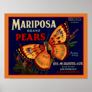 Mariposa Butterfly Birnen aus den 1940er Jahren Poster