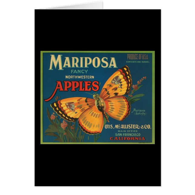 Mariposa extravagante nordwestliche Äpfel (Vorne)