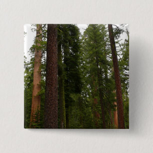 Mariposa Grove im Yosemite National Park Button