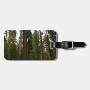 Mariposa Grove im Yosemite National Park Gepäckanhänger