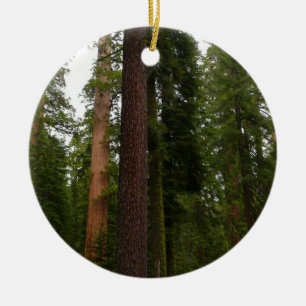 Mariposa Grove im Yosemite National Park Keramikornament