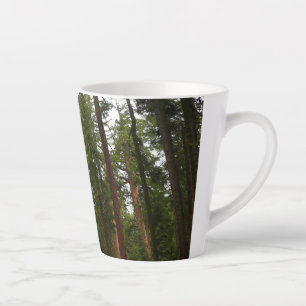 Mariposa Grove im Yosemite National Park Milchtasse