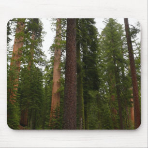 Mariposa Grove im Yosemite National Park Mousepad