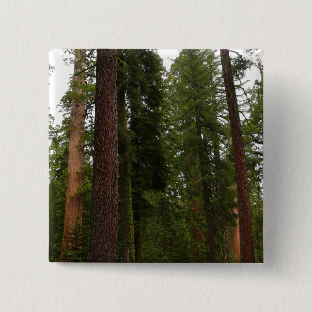 Mariposa Grove im Yosemite-Nationalpark Button (Vorderseite)