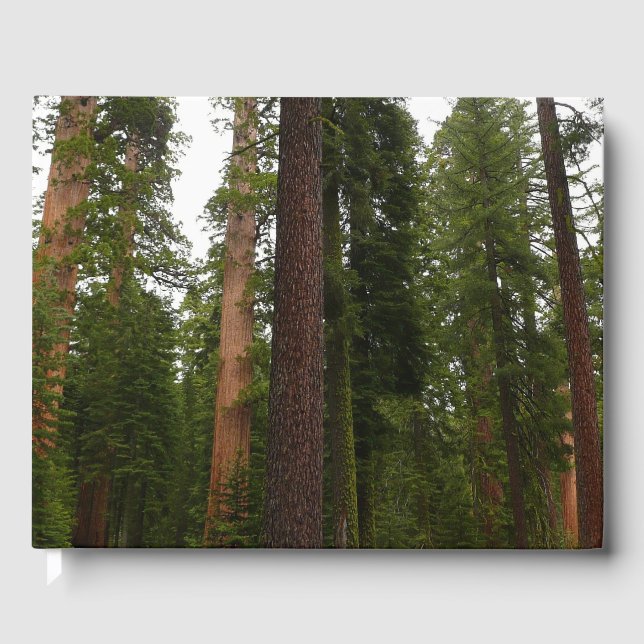 Mariposa Grove im Yosemite-Nationalpark Gästebuch (Vorderseite)