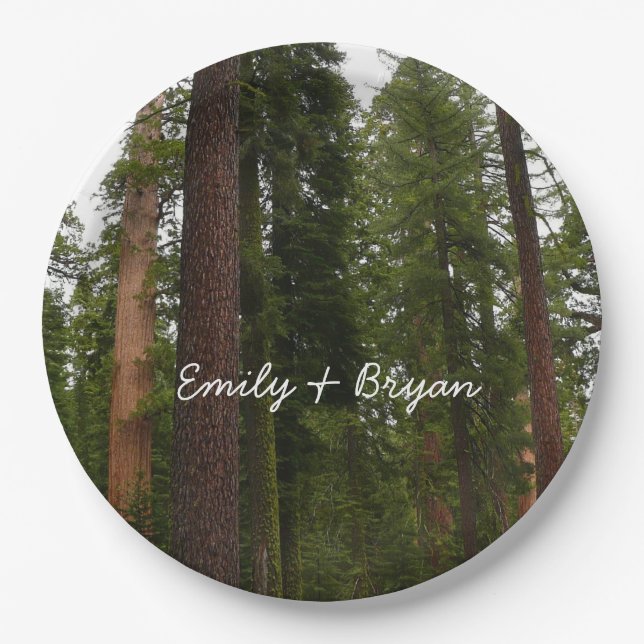 Mariposa Grove im Yosemite-Nationalpark Pappteller (Vorderseite)