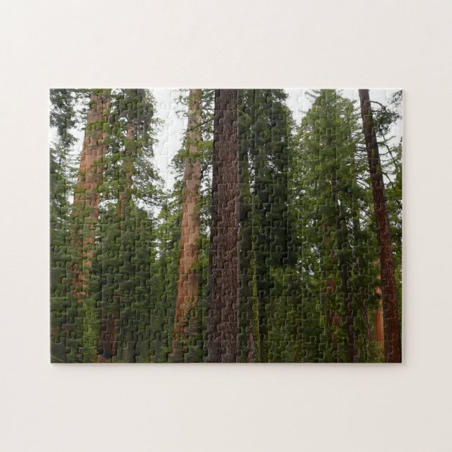 Mariposa Grove im Yosemite-Nationalpark Puzzle (Horizontal)