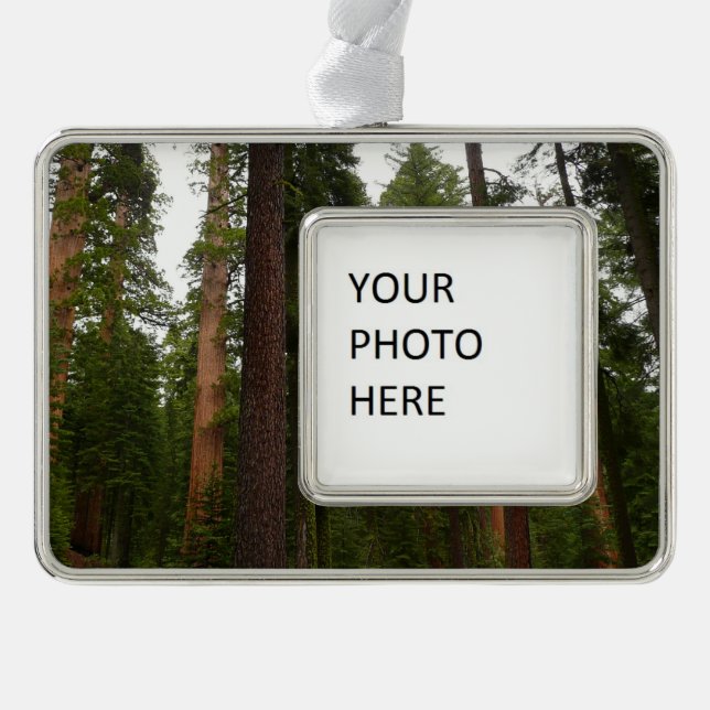 Mariposa Grove im Yosemite-Nationalpark Rahmen-Ornament Silber (Vorderseite)