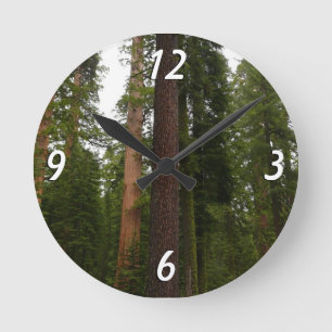 Mariposa Grove im Yosemite-Nationalpark Runde Wanduhr