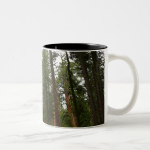 Mariposa Grove im Yosemite-Nationalpark Zweifarbige Tasse