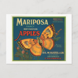 Mariposa-Markenäpfel - Vintages Kratetikett - Butt Postkarte