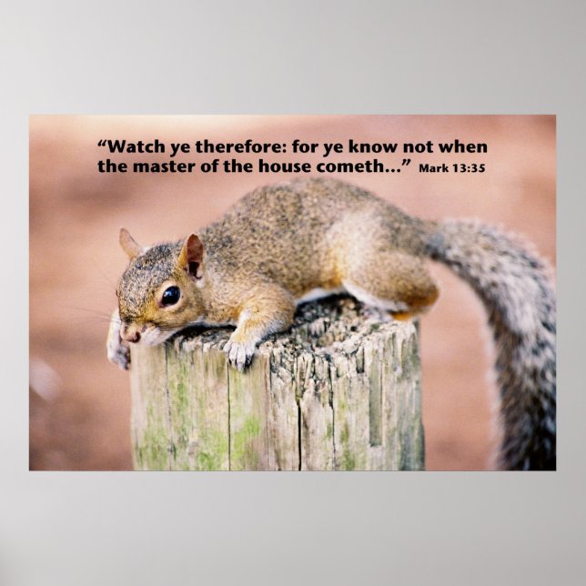 Mark 13 poster (Vorne)