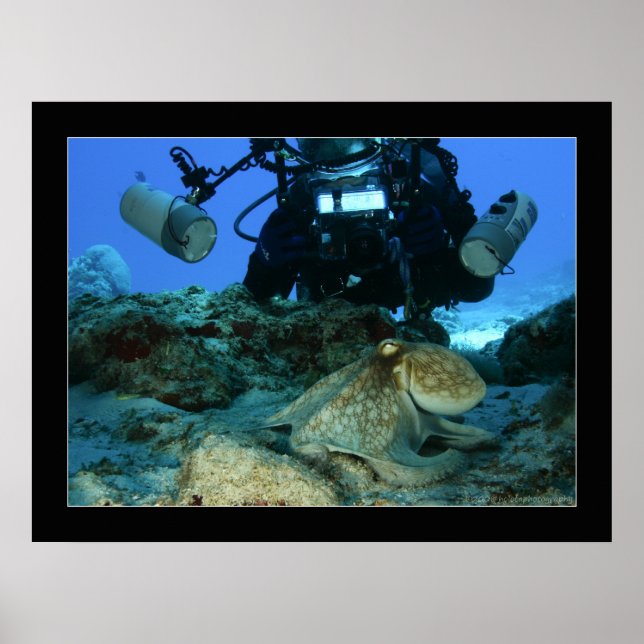 Mark und der Oktopus Poster (Vorne)