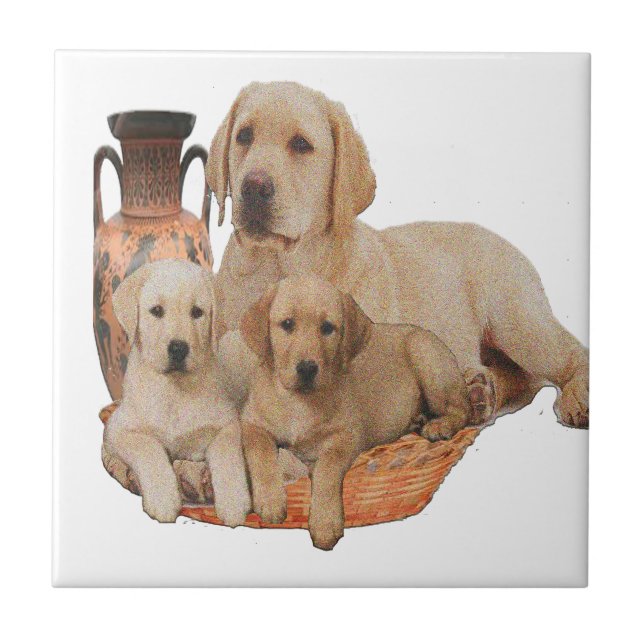 Markardor Retriever Fliese (Vorderseite)
