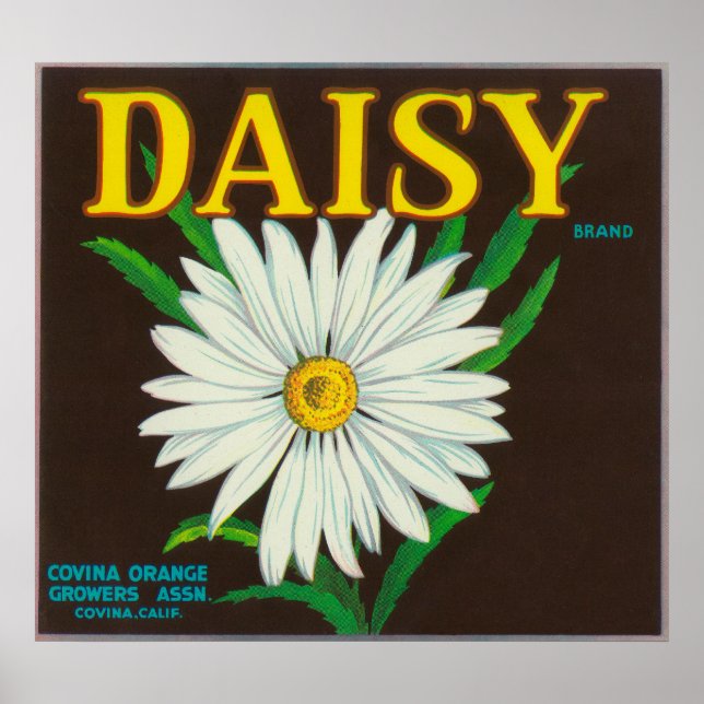 Marke Daisy Citrus Crate Label Poster (Vorne)