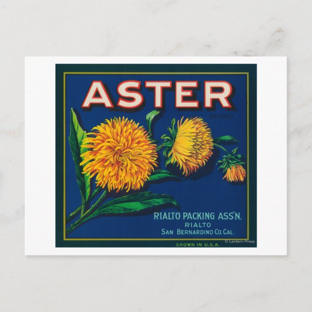 Markenbezeichnung Aster Citrus Crate Postkarte (Vorderseite)