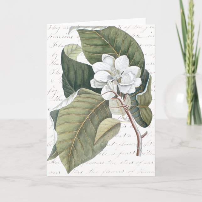 Markieren Sie Catesby Magnolien-Collage mit Karte (Vorderseite)