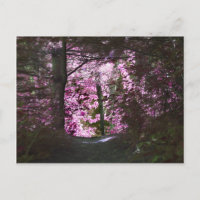 Markierung auf der Pfade-Natur-Postkarte