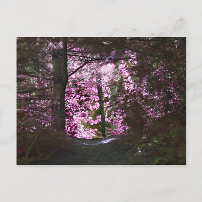 Markierung auf der Pfade-Natur-Postkarte Postkarte (Vorderseite)