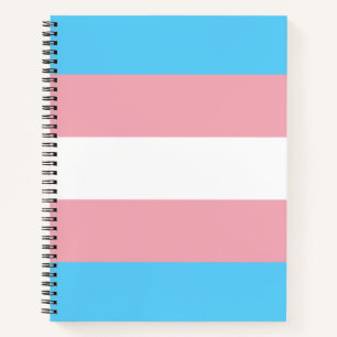 Markierung für den Trans Pride (Transgender Pride) Notizbuch