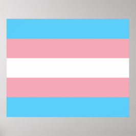 Markierung für den Trans Pride (Transgender Pride) Poster