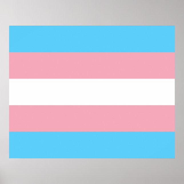 Markierung für den Trans Pride (Transgender Pride) Poster (Vorne)