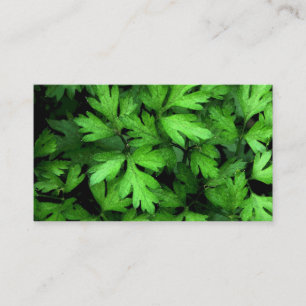 Markt für frische Kräuter Visitenkarte